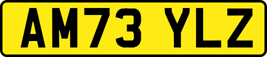 AM73YLZ