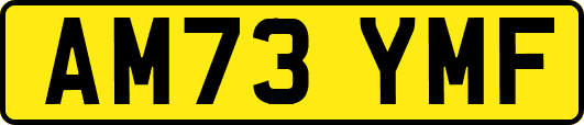 AM73YMF