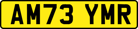 AM73YMR