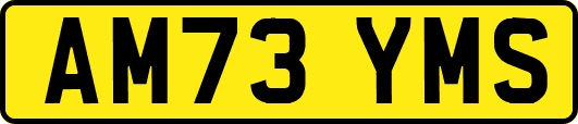 AM73YMS