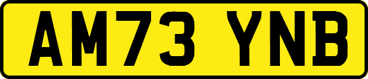 AM73YNB