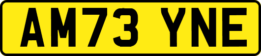 AM73YNE