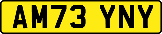 AM73YNY