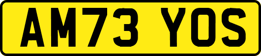 AM73YOS