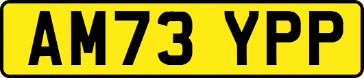 AM73YPP