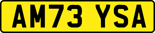 AM73YSA