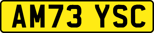 AM73YSC