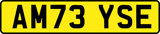 AM73YSE