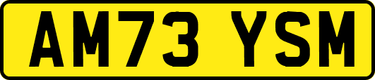 AM73YSM