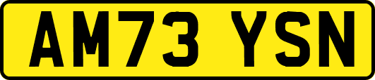 AM73YSN