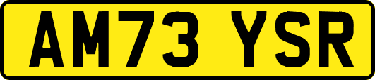 AM73YSR