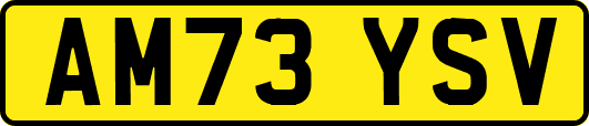 AM73YSV