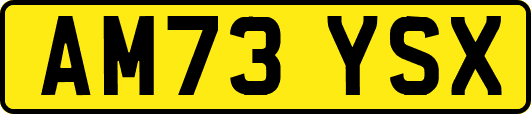 AM73YSX