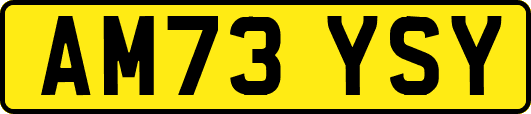 AM73YSY