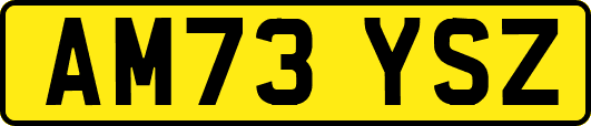 AM73YSZ