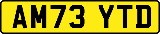 AM73YTD