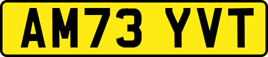 AM73YVT