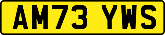 AM73YWS