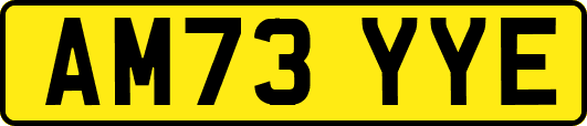 AM73YYE