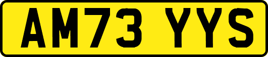 AM73YYS
