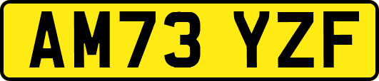 AM73YZF