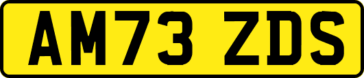 AM73ZDS