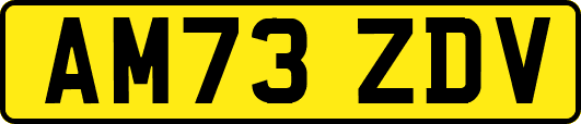 AM73ZDV