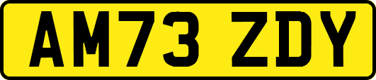 AM73ZDY