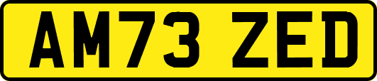 AM73ZED