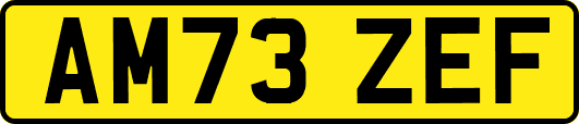 AM73ZEF