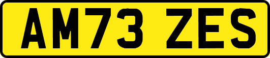 AM73ZES