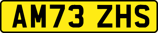 AM73ZHS