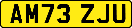 AM73ZJU