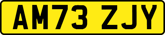 AM73ZJY