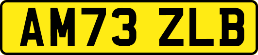 AM73ZLB
