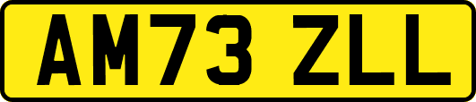 AM73ZLL