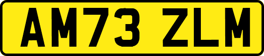 AM73ZLM