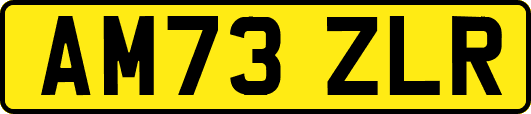 AM73ZLR
