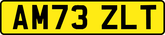 AM73ZLT