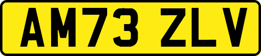 AM73ZLV