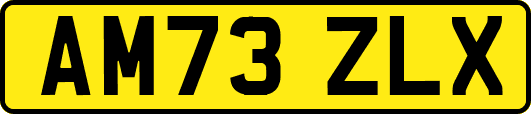 AM73ZLX