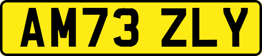AM73ZLY