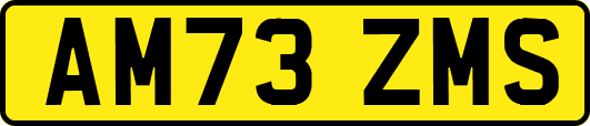 AM73ZMS