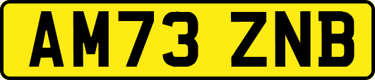 AM73ZNB