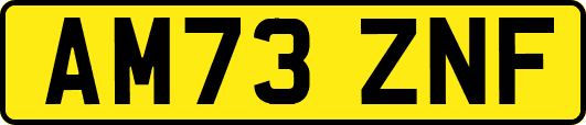 AM73ZNF