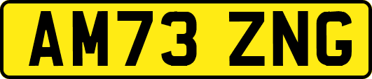 AM73ZNG