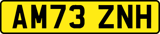 AM73ZNH