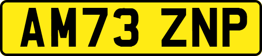 AM73ZNP