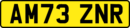 AM73ZNR