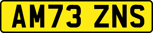 AM73ZNS